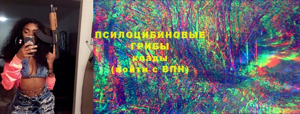 твердый Бронницы