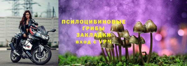 COCAINE Бородино