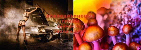 твердый Бронницы